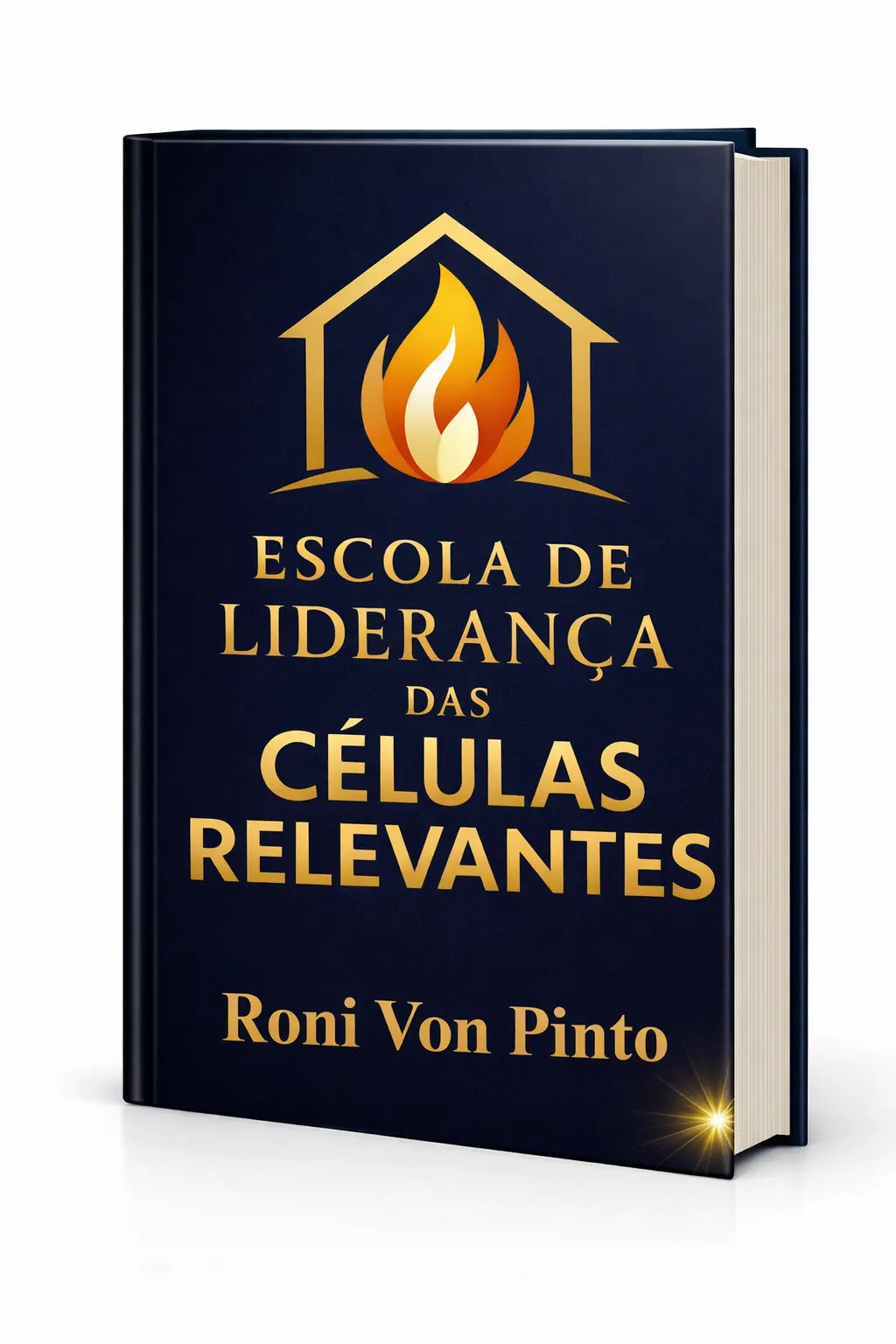 Liderança que Multiplica